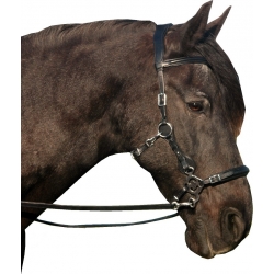 Calli Love Hackamore Bitless Bridle & Reins